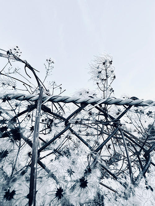 White Fence